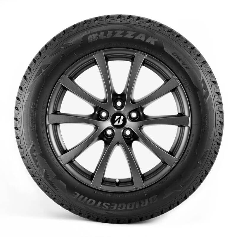 Bridgestone Blizzak DM-V2